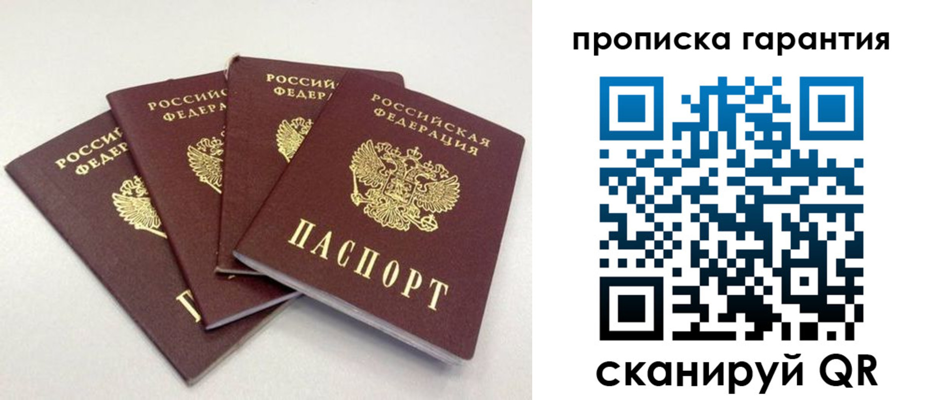 прописка в Судогде